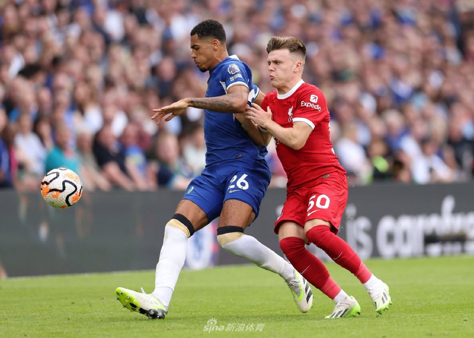 多位篮球媒 多位篮球媒